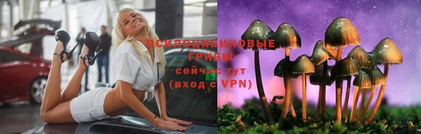 гашик Покровск