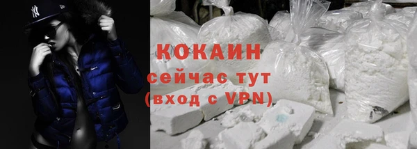 гашик Покровск