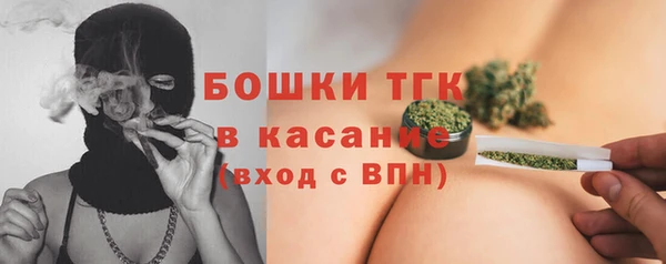 гашик Покровск