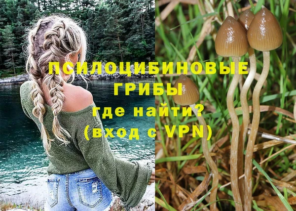 ALPHA PVP Покачи