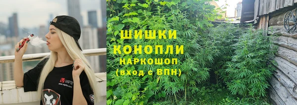ALPHA PVP Покачи