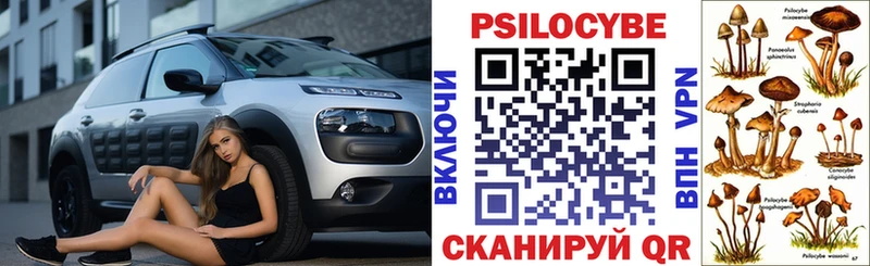 Галлюциногенные грибы Psilocybe  Барнаул 